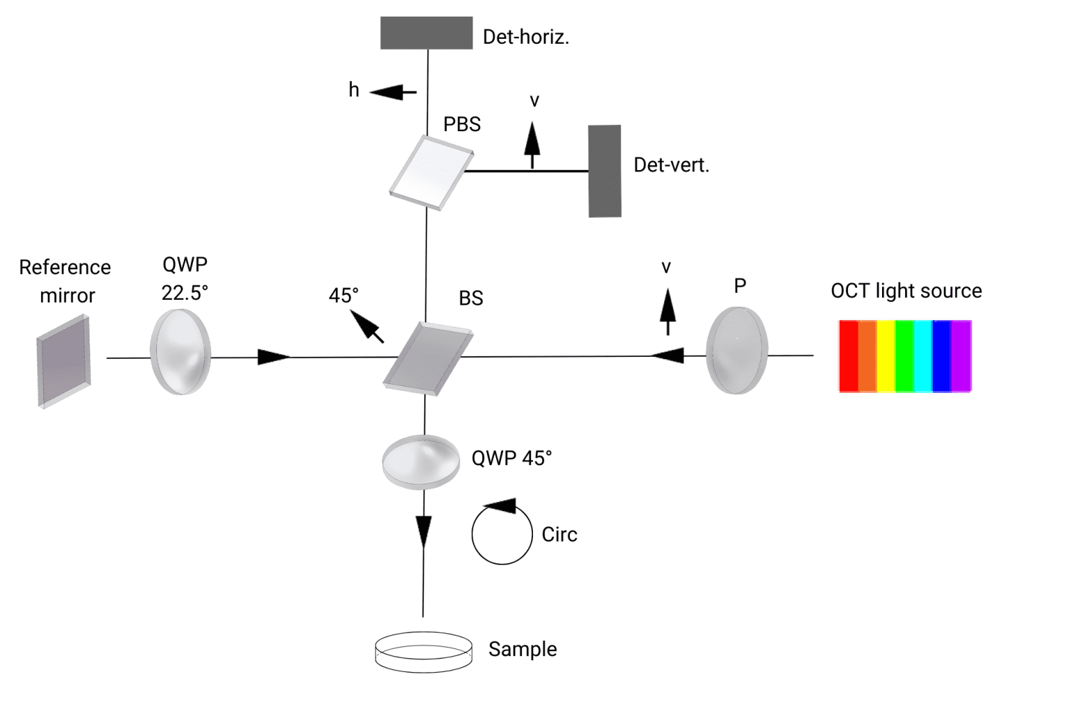 Optical Coherence Tomography in Medical Imaging: Pt 4 | Avantier