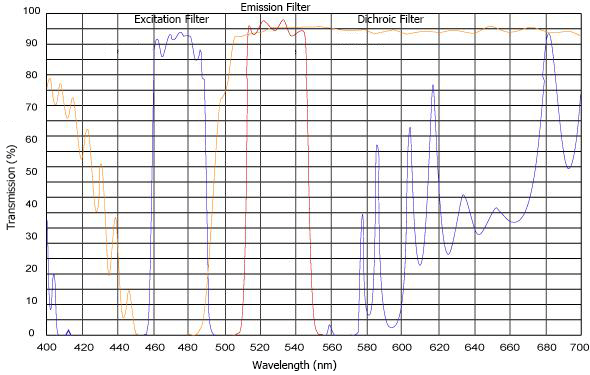 Fluorescence Filters