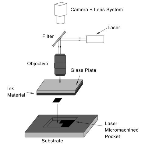 Microscope Objective Lenses Guide: Selection & Customization