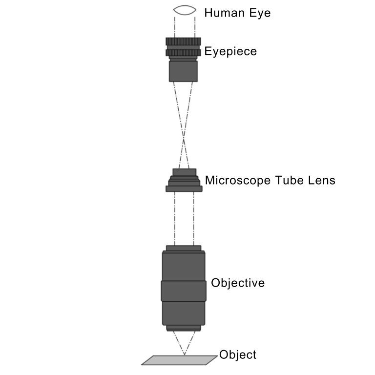 Infinite Conjugate Long Working Distance Microscope Objectives, High Magnification, Finite Conjugate
