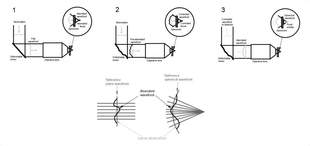 Adaptive Optics for Microscopy,adaptive optics in microscopy, adaptive optical microscopy