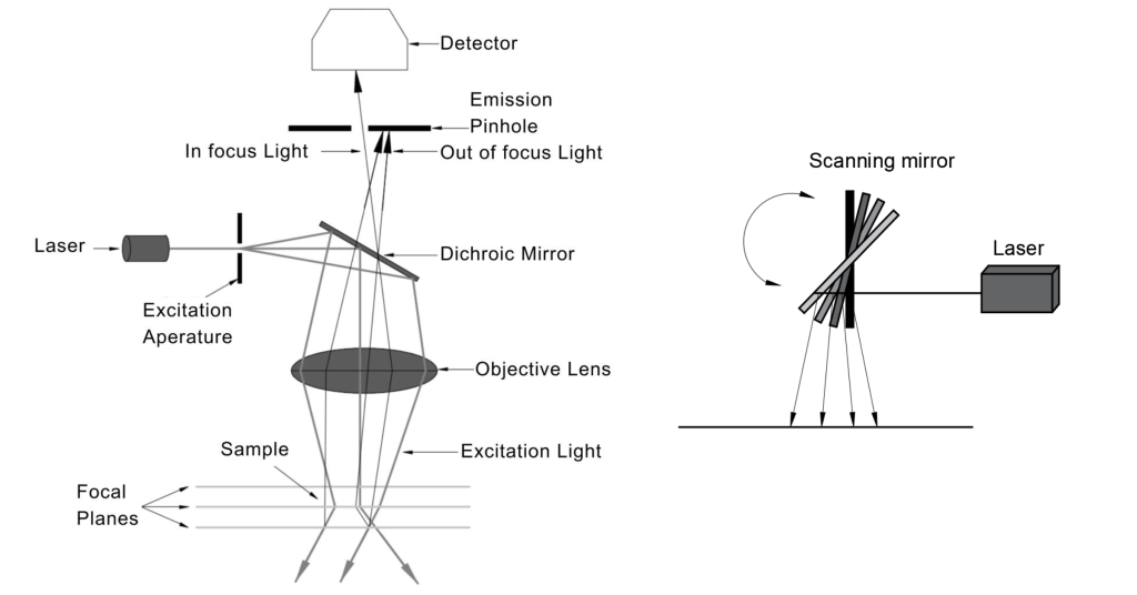 adaptive optics for Microscopy,adaptive optics in microscopy, adaptive optical microscopy