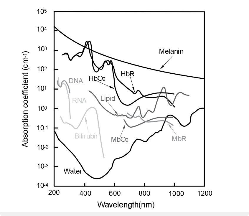 Photoacoustic microscopy can produce high resolution images with endogenous contrast agents. This graph compares the absorption spectra of some of the more common contrast agents found in biological tissue