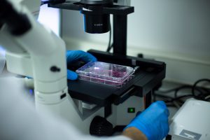 Fluorescence Imaging, biomedical optics, biomedical systems, optics for biomedical