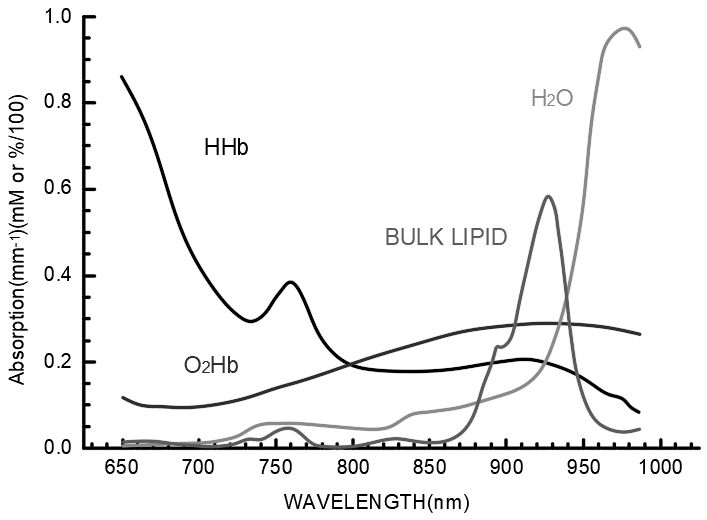 Diffuse Optical Tomography, DOT