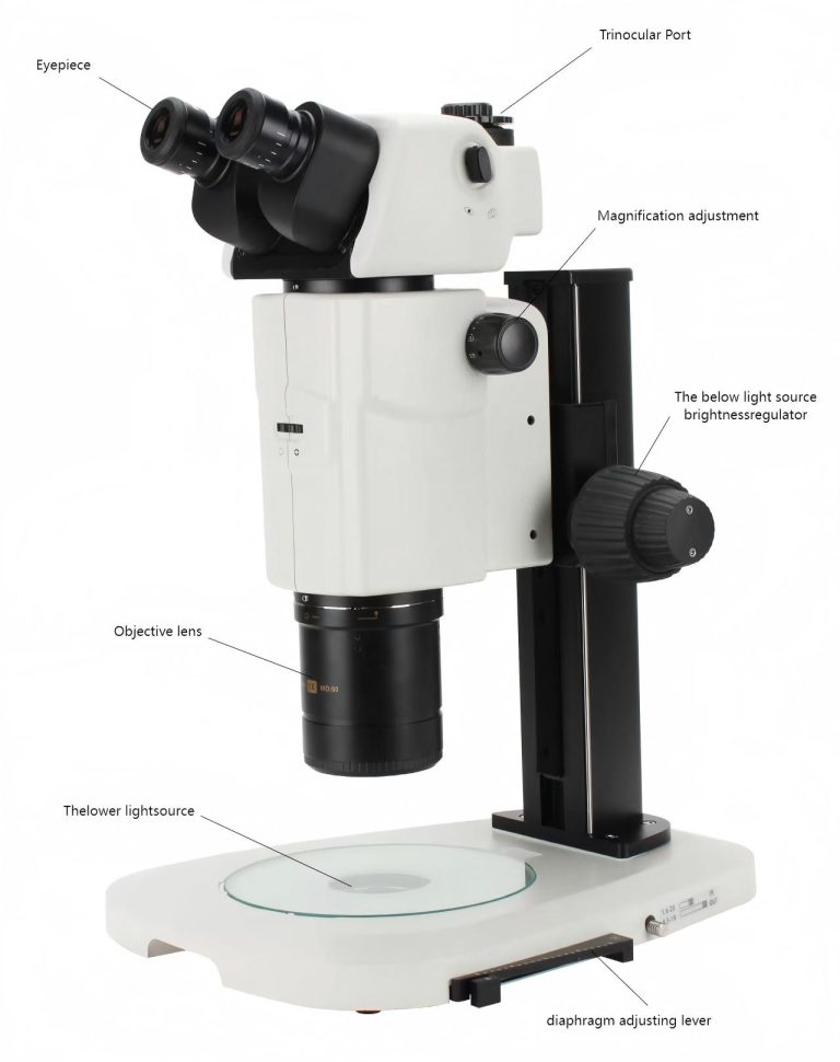 Research-Grade Stereo Microscopes AVT018 System Layout