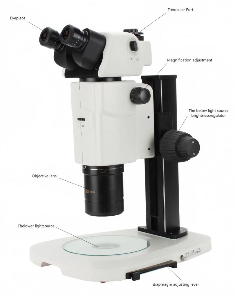 Stereo Microscopes with Advanced Optical Systems