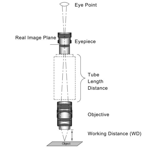Figure 1 the complete guide to Microscope Objective Lens