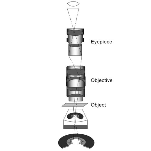 Figure 2 the complete guide to microscope objective lens