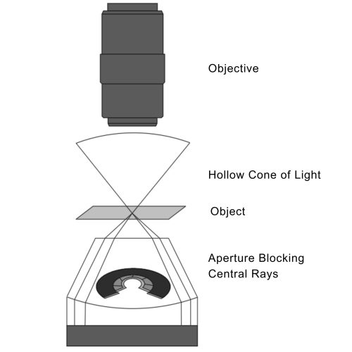 Figure 3 - the complete guide to microscope objective lens